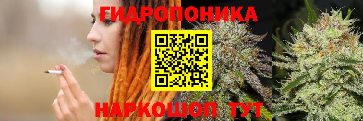 Канабис тримм  Вход с VPN  Бошки марихуана индика  Новый Уренгой 